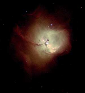 Nebula N81